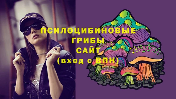МДПВ Абинск