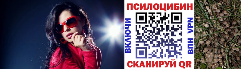 Псилоцибиновые грибы Cubensis Губкин
