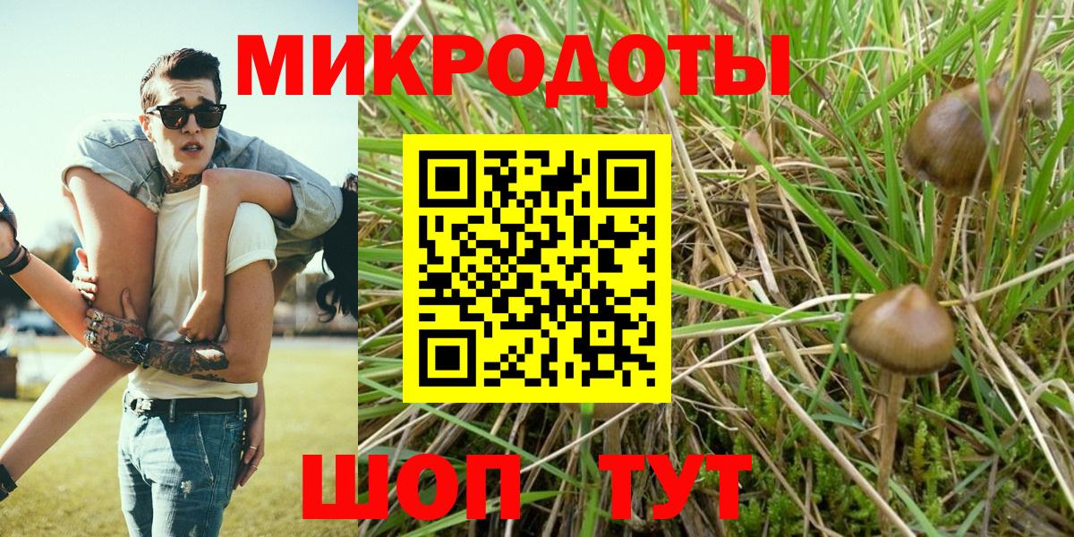 Галлюциногенные грибы GOLDEN TEACHER Губкин
