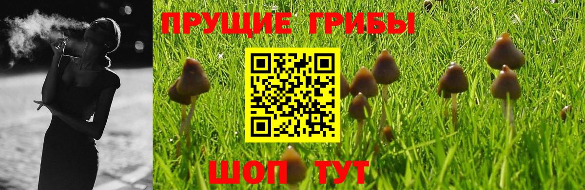 Губкин  Псилоцибиновые грибы Magic Shrooms  как найти наркотики  Вход с VPN 