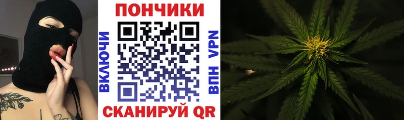 где купить наркоту  Губкин  Канабис MAZAR 